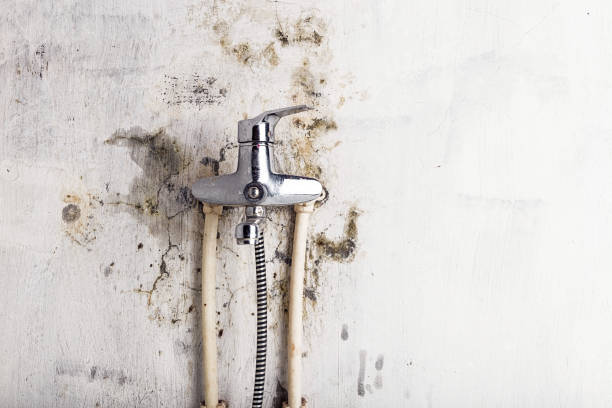 Best Mold Remediation for Specific Building Types in Herricks, NY